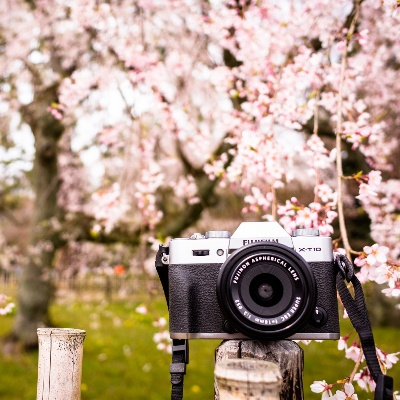 Фотовыставка "Весны прекрасные мгновения"
